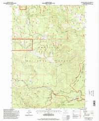 Pearson Ridge 1995 topographic map thumbnail