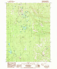 Pelican Butte 1985 topographic map thumbnail