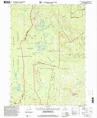 Pelican Butte 1998 topographic map thumbnail