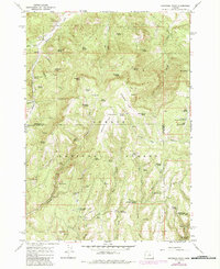 Peterson Point 1966 topographic map preview