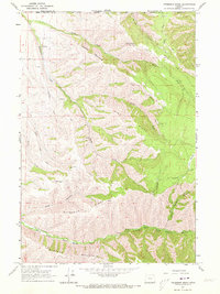 Peterson Ridge 1963 topographic map thumbnail