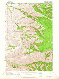 Peterson Ridge 1963 topographic map thumbnail