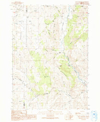 Petes Mountain 1990 topographic map preview