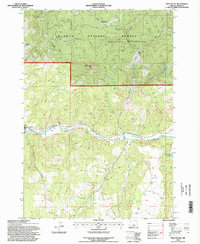 Pilot Butte 1992 topographic map preview