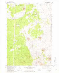 Plot Butte 1981 topographic map thumbnail
