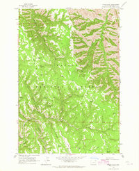 Poison Point 1963 topographic map preview