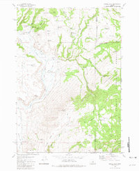 Powell Mtn 1981 topographic map preview