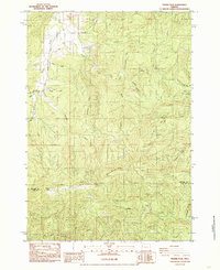 Prairie Peak 1984 topographic map thumbnail
