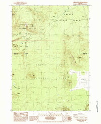 Pumice Desert West 1985 topographic map thumbnail