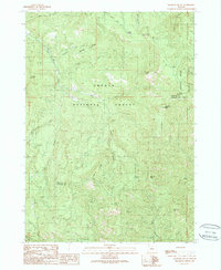 Ragsdale Butte 1989 topographic map thumbnail