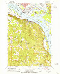 Rainier 1953 topographic map preview
