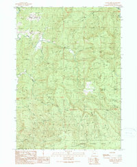 Rasler Creek 1990 topographic map thumbnail