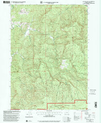 Rasler Creek 1998 topographic map thumbnail