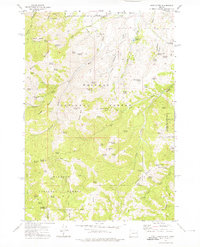 Rastus Mtn topographic map thumbnail