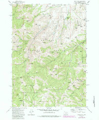 Rastus Mtn 1972 topographic map thumbnail