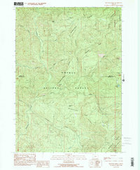 Reynolds Ridge 1989 topographic map thumbnail