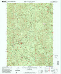 Reynolds Ridge 1998 topographic map thumbnail