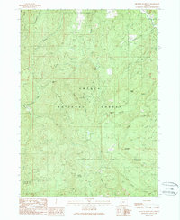 Richter Mountain 1989 topographic map thumbnail