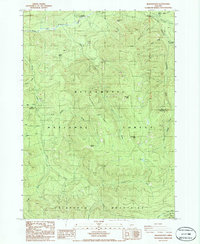 Rigdon Point 1986 topographic map thumbnail