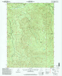 Rigdon Point 1997 topographic map thumbnail