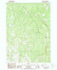 Rio Canyon 1988 topographic map thumbnail