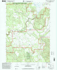 Riverbed Butte Spring 1998 topographic map thumbnail