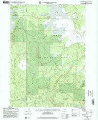 Rodman Rock 1999 topographic map thumbnail