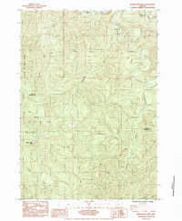 Roman Nose Mtn topographic map thumbnail