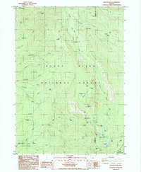 Rustler Peak 1985 topographic map thumbnail