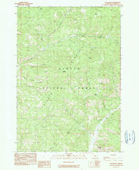 Salt Butte 1990 topographic map thumbnail