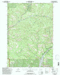 Salt Butte 1992 topographic map thumbnail