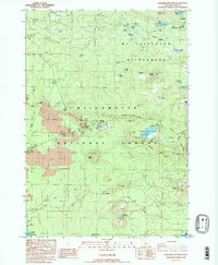 Santiam Junction 1988 topographic map preview