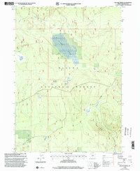 Sellers Marsh 1999 topographic map thumbnail