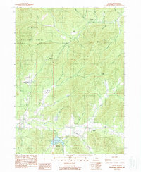 Selma 1989 topographic map thumbnail