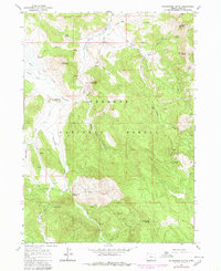 Shoestring Butte 1964 topographic map thumbnail