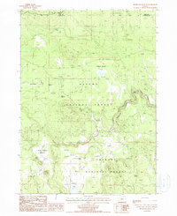 Silver Dollar Flat 1988 topographic map preview