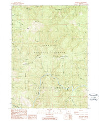 Silver Peak 1989 topographic map thumbnail