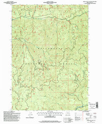 Sinker Mountain 1997 topographic map thumbnail