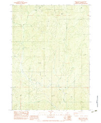 Skeleton Mtn 1983 topographic map preview