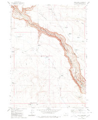 Skull Creek 1980 topographic map thumbnail