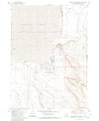 Southeast Harney Lake 1980 topographic map thumbnail