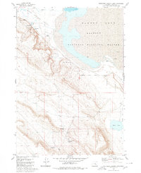 Southwest Harney Lake 1980 topographic map thumbnail