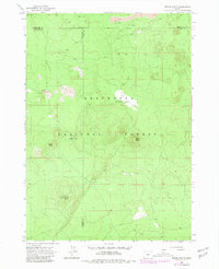 Spring Butte 1963 topographic map thumbnail