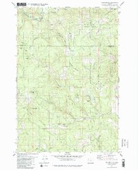 Springer Mtn 1979 topographic map thumbnail