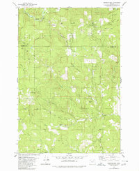 Springer Mtn 1979 topographic map thumbnail