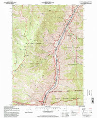 Squirrel Prairie 1995 topographic map thumbnail