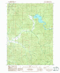 Starvout Creek 1986 topographic map thumbnail