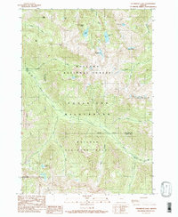 Steamboat Lake 1990 topographic map thumbnail