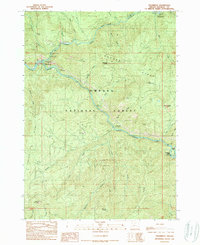 Steamboat 1989 topographic map thumbnail