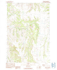 Steet Mtn. 1990 topographic map preview